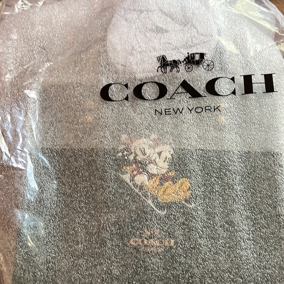 🛷 DISNEY X COACH DEMPSEY TOTE 22  AND CORNER ZIP WRISTLET WITH SLED MOTIF 🛷 - Picture 8 of 16